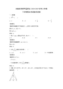 河南省洛阳市宜阳县2024-2025学年八年级下学期期末考试 数学试卷（解析版）
