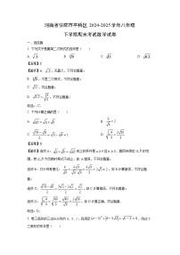 河南省信阳市平桥区2024-2025学年八年级下学期期末考试数学试卷（解析版）