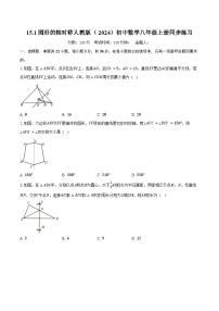 人教版（2024）八年级上册（2024）第十五章 轴对称15.1 图形的轴对称精品课时练习