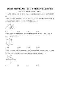 人教版（2024）八年级上册（2024）第十五章 轴对称15.1 图形的轴对称精品课时练习