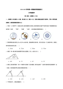 2024-2025年广东省广州市八年级上学期数学期中考试卷（含答案）