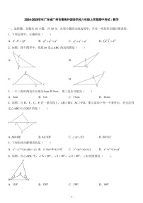 2024-2025年广东省广州市番禺区番禺外国语学校八年级上学期数学期中考试卷（含答案）