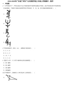 2024-2025年广东省广州市广云外国语学校八年级上学期数学期中考试卷（含答案）