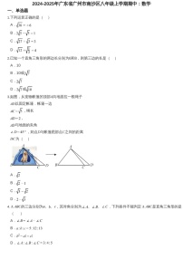 2024-2025年广东省广州市南沙区八年级上学期数学期中考试卷（含答案）