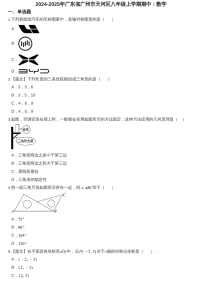 2024-2025年广东省广州市天河区八年级上学期数学期中考试卷（含答案）