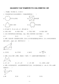 2024-2025年广东省广州市越秀区育才中学八年级上学期数学期中考试卷（含答案）