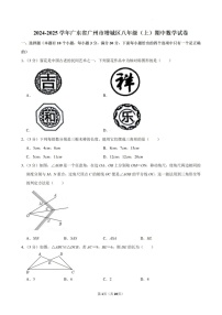 2024-2025年广州市增城区八年级上学期数学期中考试卷（含答案）