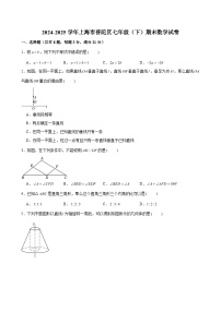 2024-2025学年上海市普陀区七年级（下）期末数学试卷（含解析）
