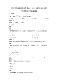 贵州省黔东南苗族侗族自治州2024-2025学年八年级下学期期末考试数学试题（解析版）