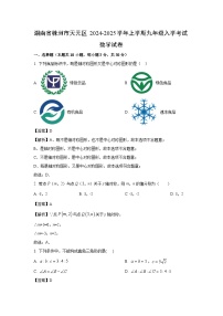 湖南省株洲市天元区2024-2025学年上学期九年级入学考试 数学试题（解析版）