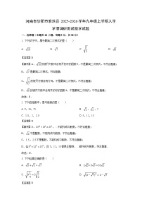 河南省信阳市淮滨县2025-2026学年九年级上学期入学学情调研测试数学试题（解析版）
