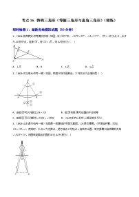 【2026中考】数学核心考点精讲精练-考点16特殊三角形（等腰三角形与直角三角形）（学生版+名师详解版）