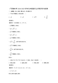 广西柳州市2024-2025学年九年级上学期开学考数学试卷（解析版）