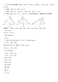 2026年中考数学压轴题专项练习-倍长中线（答案）（学生版+名师详解版）