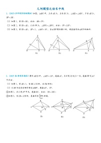 2026年中考数学压轴题专项练习-倍长中线（学生版+名师详解版）