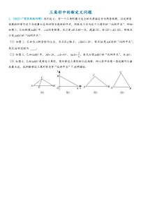2026年中考数学压轴题专项练习-三角形中的新定义问题（学生版+名师详解版）
