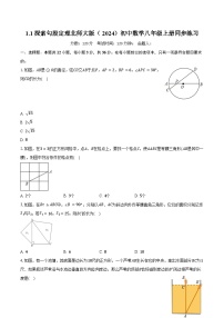 初中数学北师大版（2024）八年级上册（2024）1 探索勾股定理优秀当堂检测题