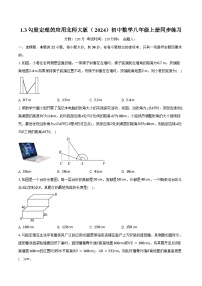 初中数学北师大版（2024）八年级上册（2024）3 勾股定理的应用优秀当堂达标检测题