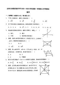 2025北京北师大实验中学初三（上）开学考数学试卷   有答案