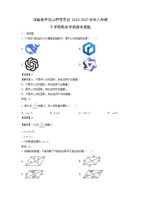 河南省平顶山市宝丰县2024-2025学年八年级下学期期末考试数学试卷（解析版）