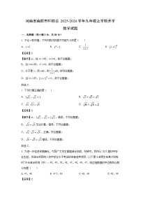 河南省南阳市桐柏县2025-2026学年九年级上学期开学数学试卷（解析版）