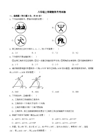 浙江省金华市2025年八年级上学期数学月考试卷附答案