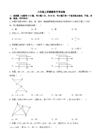 浙江省温州市2025年八年级上学期数学月考试卷附答案