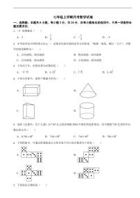 广东省深圳市2025年七年级上学期月考数学试卷及答案