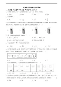 浙江省金华市义乌市2025年七年级上学期数学月考试卷及答案