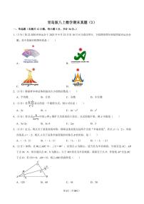 青岛版八上数学期末真题（2）