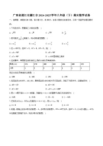 广东省湛江市廉江市2024-2025学年八年级（下）期末数学试卷【含答案】