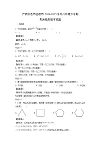 广西百色市县级市2024-2025学年八年级下学期期末检测数学试题（解析版）