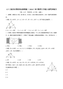 初中数学浙教版（2024）八年级上册（2024）1.5 三角形全等的判定精品课堂检测