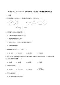 河南省郑州市巩义市2024-2025学年七年级下学期期末质量检测数学试卷（含解析）