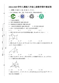 2024-2025学年人教版八年级上册数学期中测试卷（含答案）