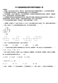 2025届连南瑶族自治县中考数学考前最后一卷含解析