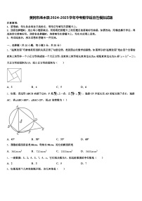 黄冈市浠水县2024-2025学年中考数学适应性模拟试题含解析