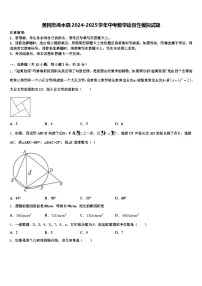 黄冈市浠水县2024-2025学年中考数学适应性模拟试题含解析