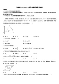 饶阳县2024-2025学年中考联考数学试题含解析