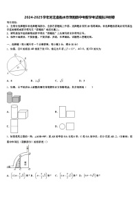 2024-2025学年河北省衡水市饶阳县中考数学考试模拟冲刺卷含解析