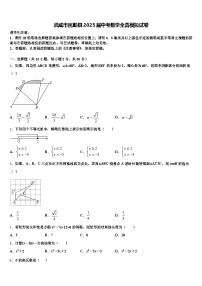 武威市民勤县2025届中考数学全真模拟试卷含解析