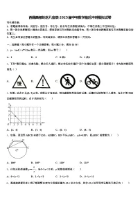 西藏昌都地区八宿县2025届中考数学最后冲刺模拟试卷含解析
