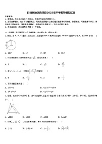 日喀则地区岗巴县2025年中考数学模拟试题含解析