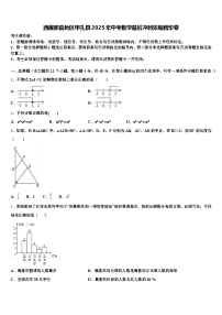 西藏那曲地区申扎县2025年中考数学最后冲刺浓缩精华卷含解析