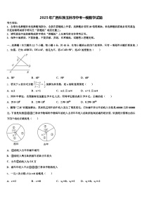 2025年广西壮族玉林市中考一模数学试题含解析