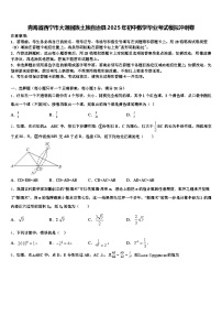 青海省西宁市大通回族土族自治县2025年初中数学毕业考试模拟冲刺卷含解析