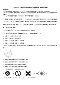2024-2025学年辽宁省沈阳市辽中区中考二模数学试题含解析