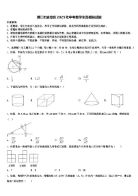湛江市麻章区2025年中考数学全真模拟试题含解析