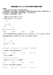 宜昌市西陵区2024-2025学年中考数学考试模拟冲刺卷含解析