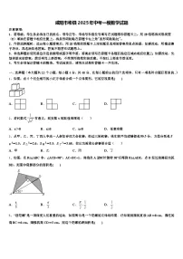 咸阳市彬县2025年中考一模数学试题含解析